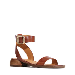 Ikara Brandy