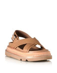 VEENA Camel