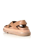 VEENA Camel