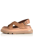 VEENA Camel