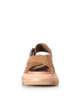 VEENA Camel