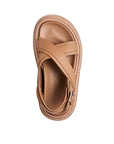 VEENA Camel
